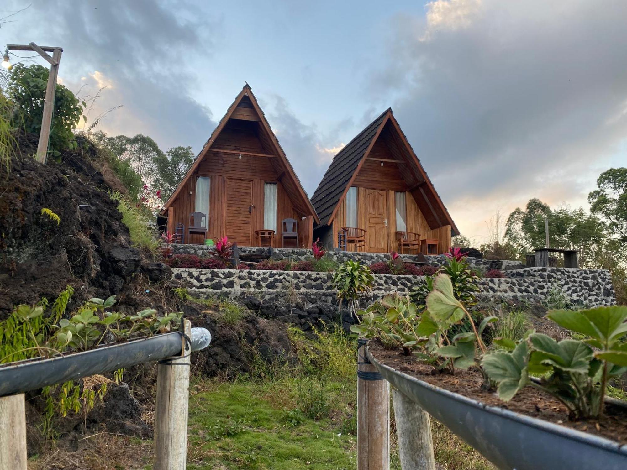 D’ Tepi Danau Hotel Kintamani  Bagian luar foto